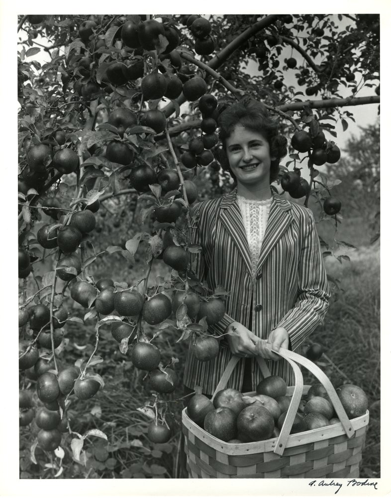 Model with Apples